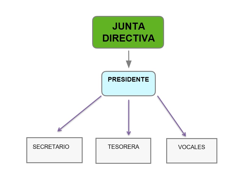 Junta Directiva Dismo